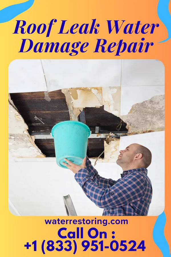 Roof Leak Water Damage Repair in Idaville, OR